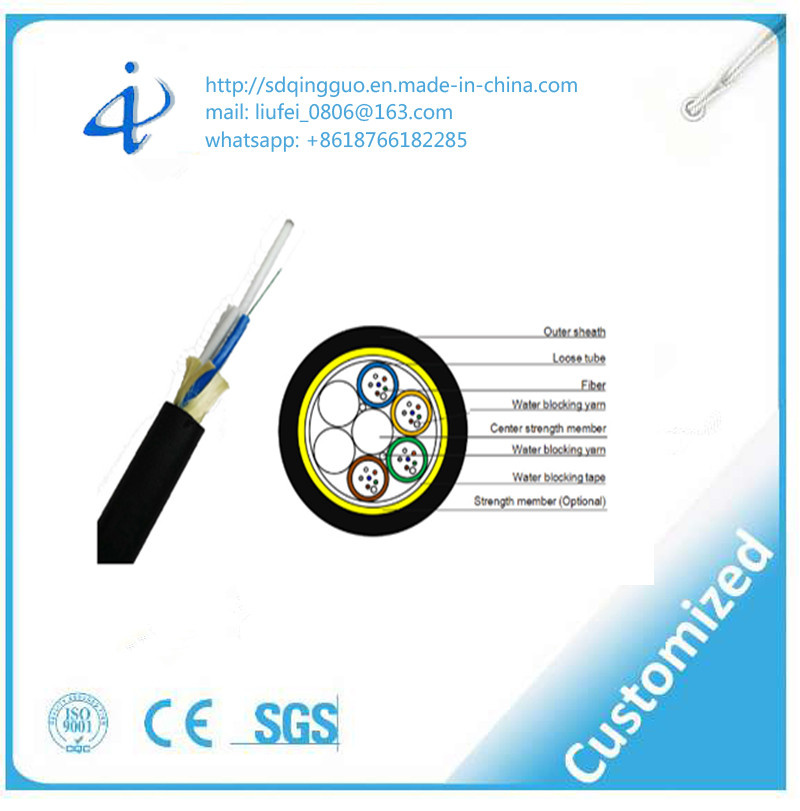 ISO9001-2000 Aerial Single Mode Fiber Optic Cable with 12 Core