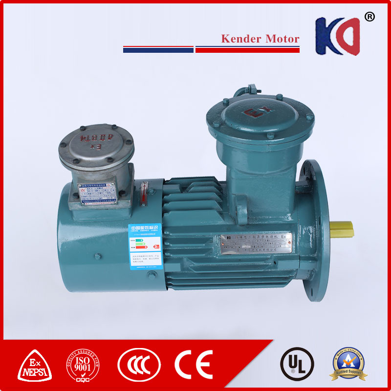 High Quality Yvbp-80m1-4 Ex-Proof Motor with Frequency Conversion Speed Regulating