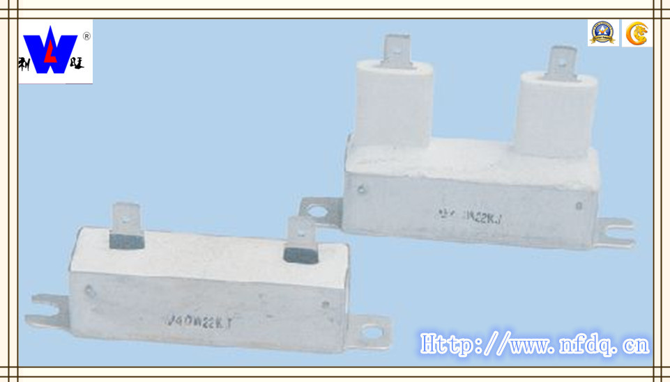 Stainless Steel Wirewound Resistor with ISO9001