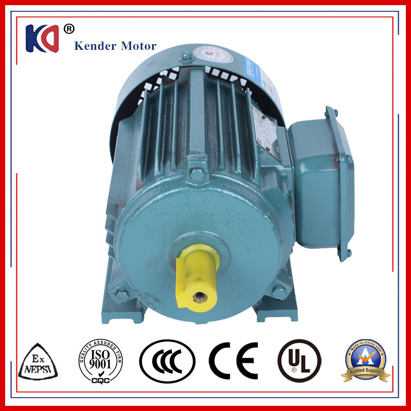 Cast Iron Y2 Series Electric Induction Motor