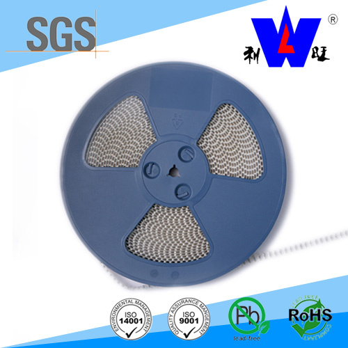 SMD 1ws Surface Mount Power Resistor