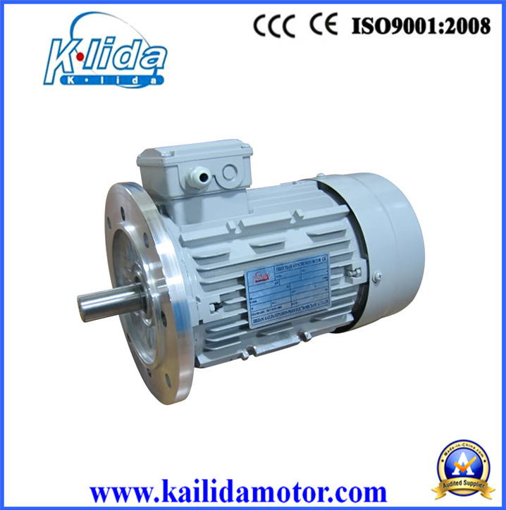 Ie2 High Efficiency Induction Motor with Ce