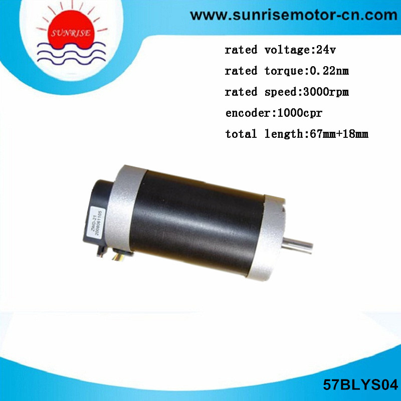 57blys04 Servo Motor/Electric Motor/DC Servo Motor