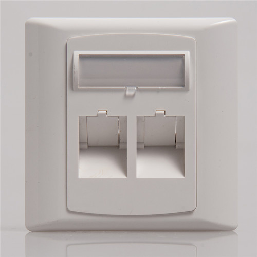 2 Ports RJ45 Face Plate
