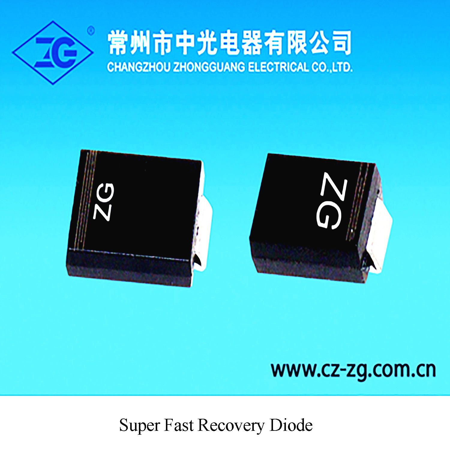 Super Fast Recovery Diode Er2b