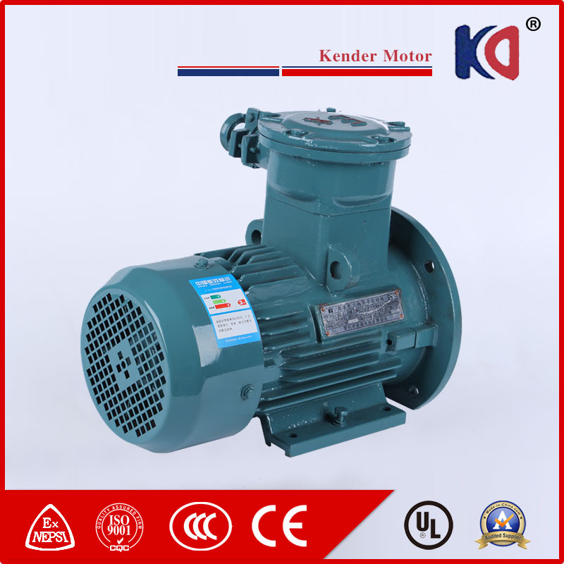 AC Asynchronous Flame Proof Motor for Crane
