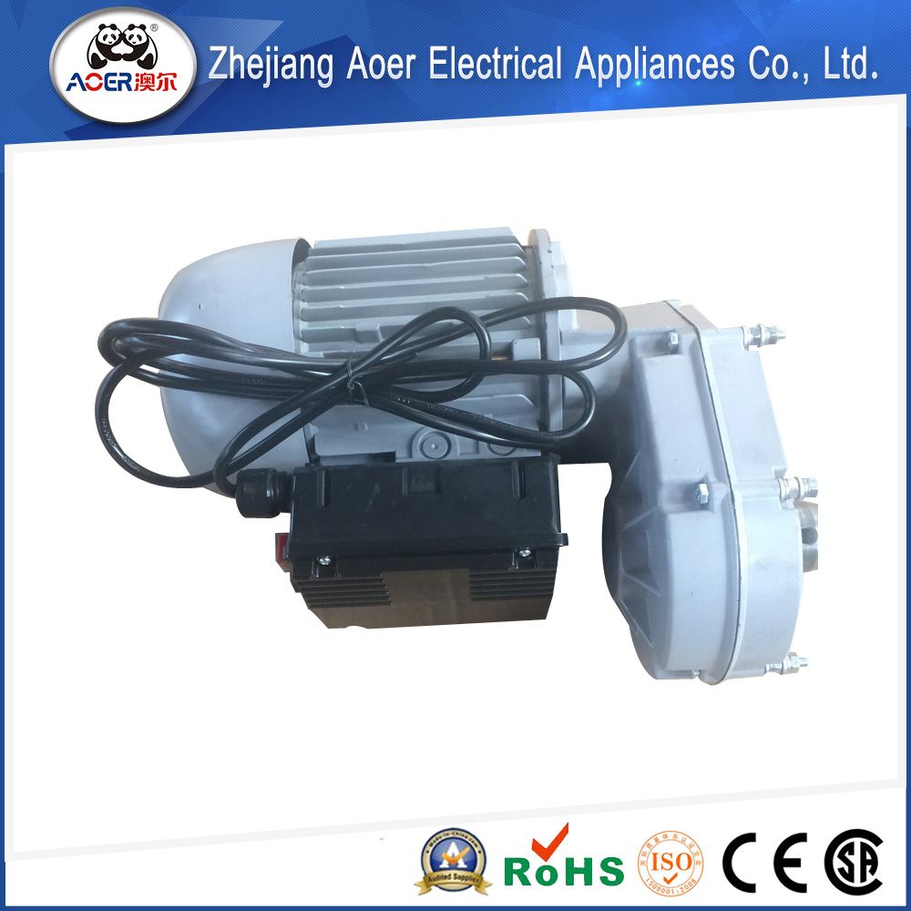 AC Single Phase Asynchronous Gear Motor 230V