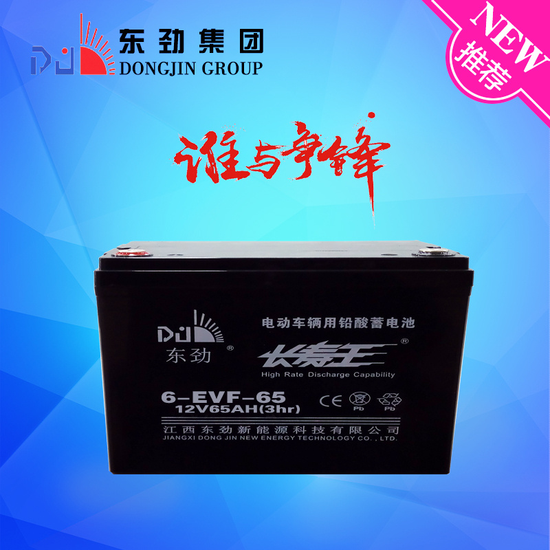 Electric Car Battery 12V65ah Good Performance for EV Battery