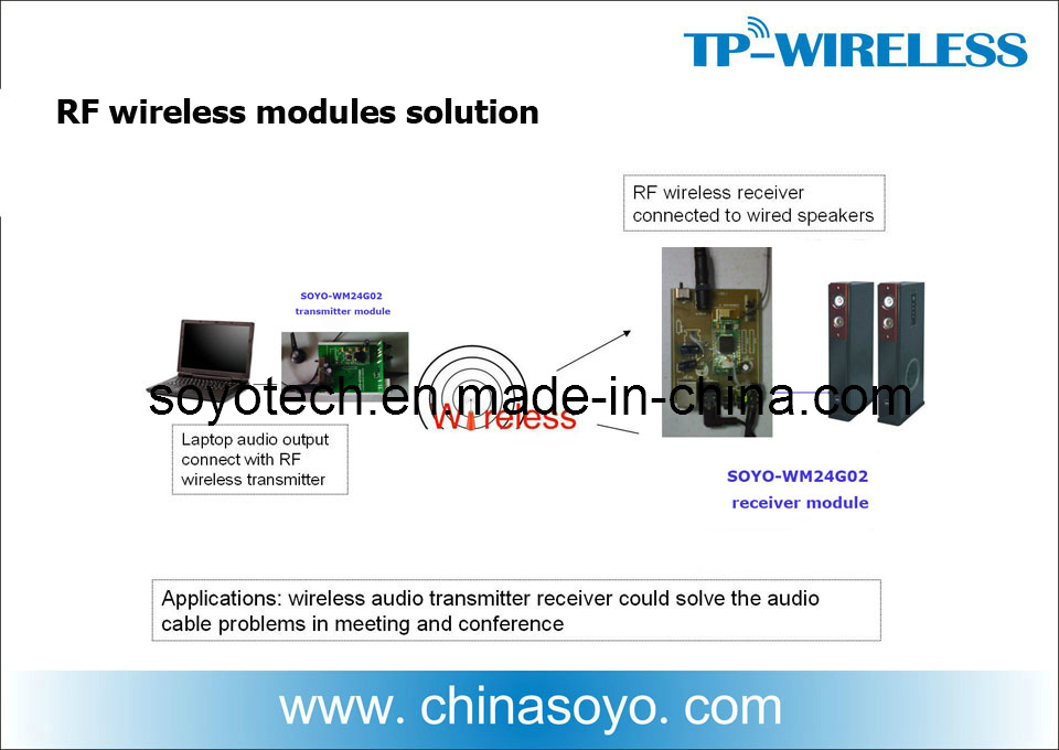 Soyo 2.4G Hi-Fi Digital Wireless Speaker Modules Solution