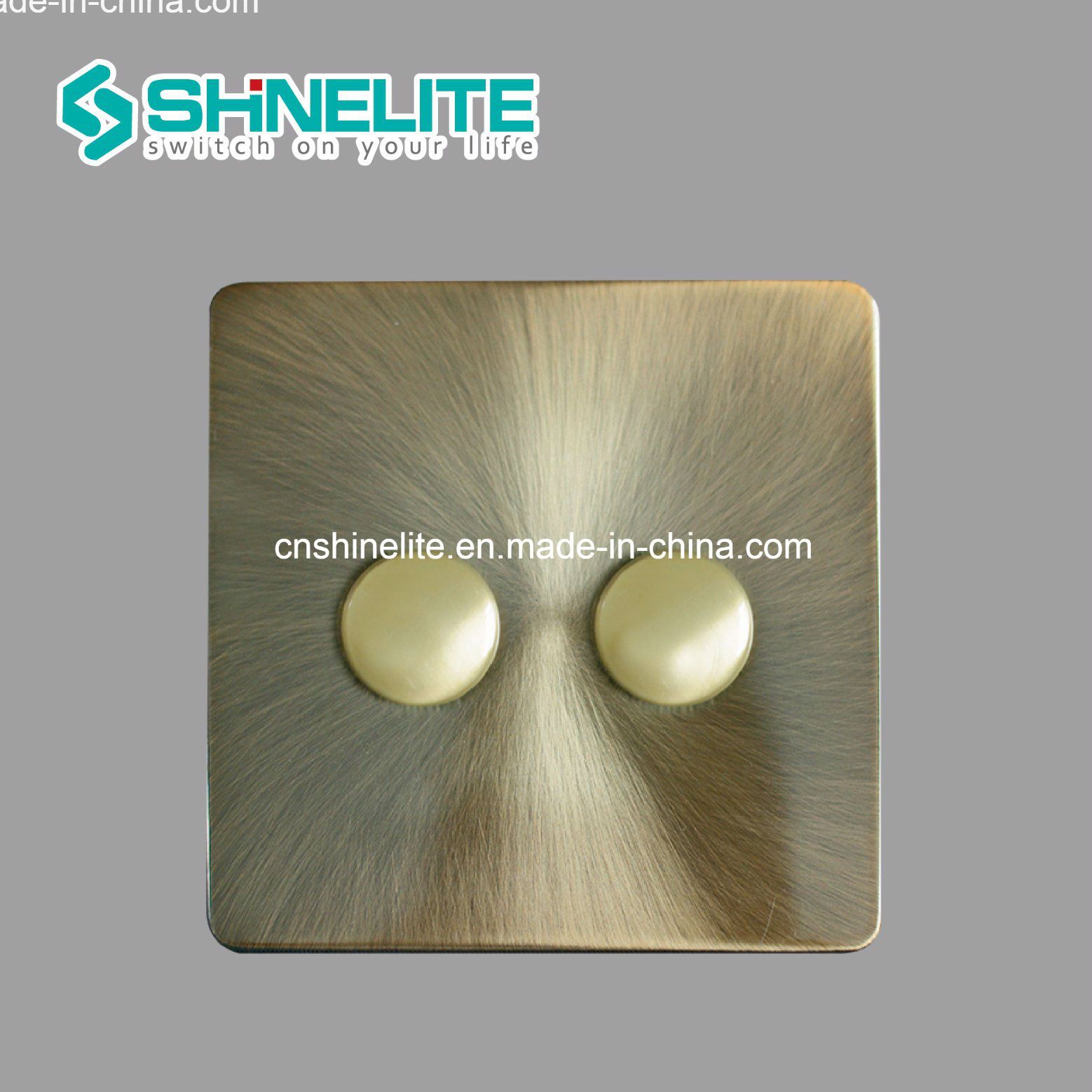 OEM 250W 2 Gang Dimmer Switch with Ce Certificate