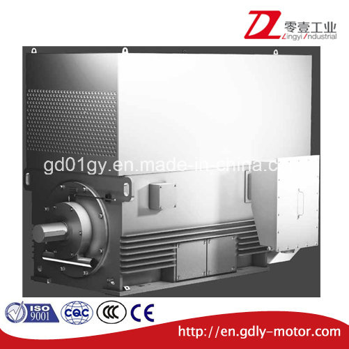 High Voltage High Output Three Phase Asynchronous Induction Motor