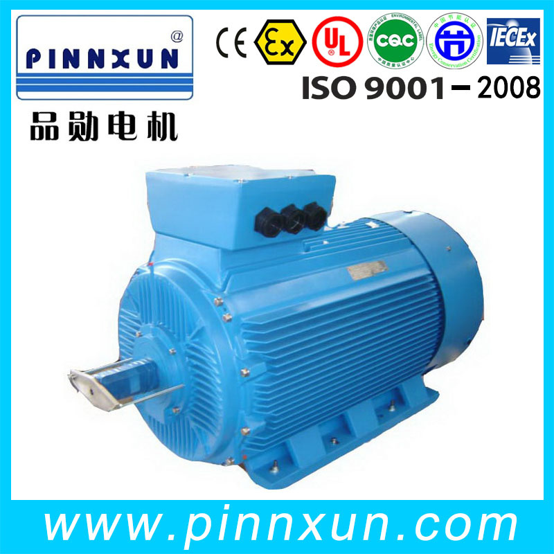 Y2, Y3 Series Cast Iron Three-Phase Asynchronous Induction Electric Motor