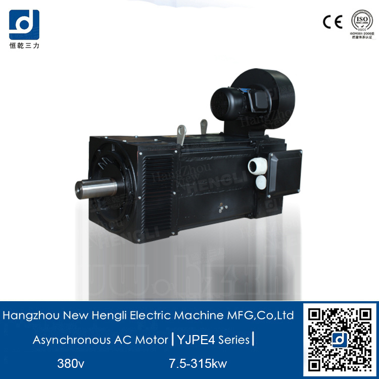 NHL Yjpe4 AC Motor Low Rpm