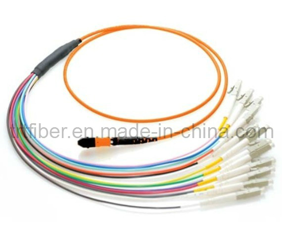 MTP / MPO OM1 Multimode Fiber Optic Patch Cord