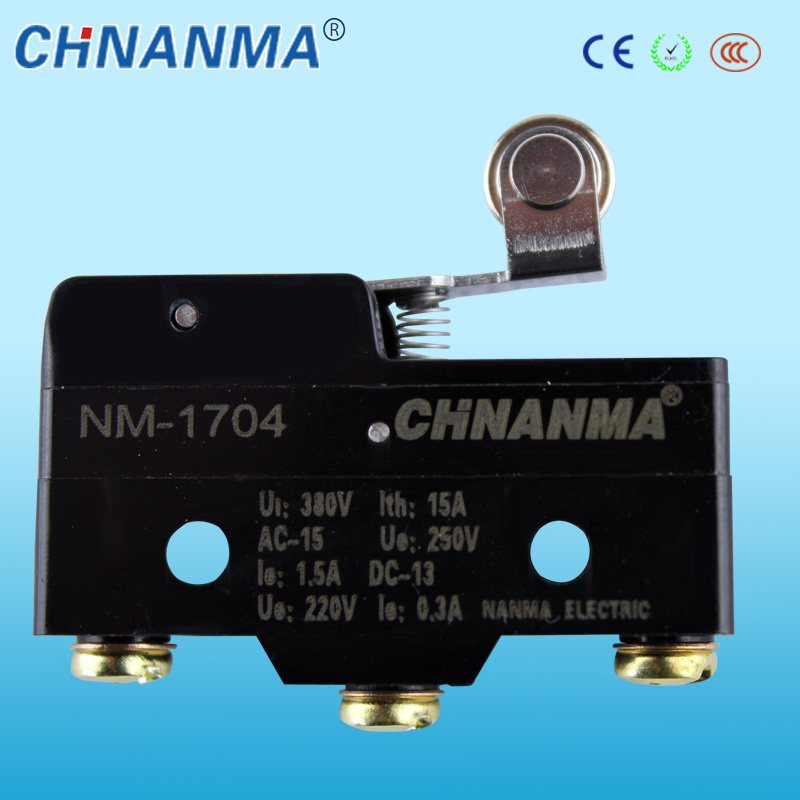 15A Push Button Micro Switch Used for Power Tooling