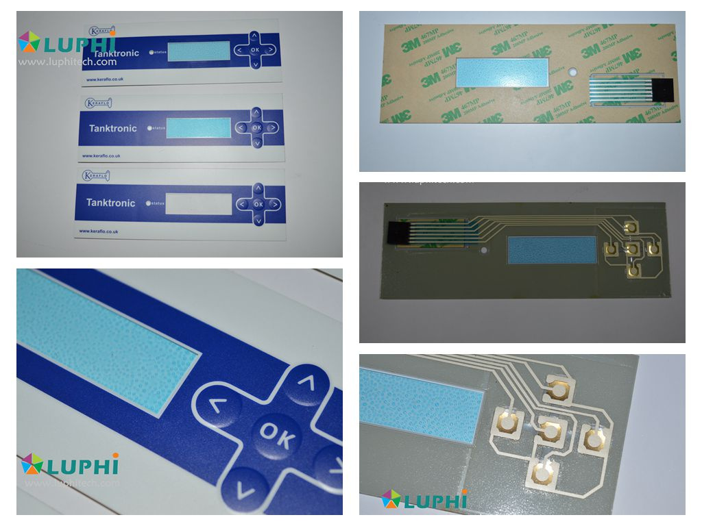 Embossed Buttons Gold Plating Domes Membrane Switch (MIC-0072)