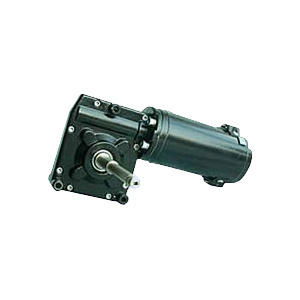 DC Worm Gear Motor (73ZYJ02)