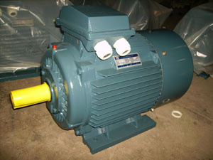 Ie2 (CE) Y2 Three Phase Induction Motor (Y2-160-4)