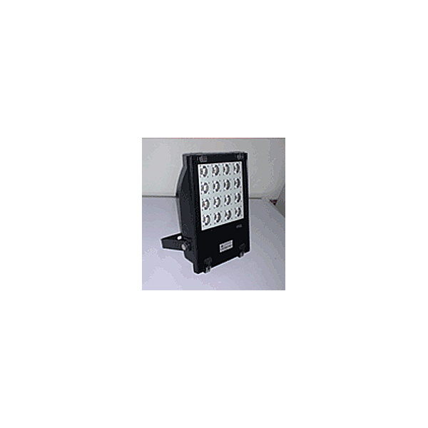 Ejaculatory Lamp