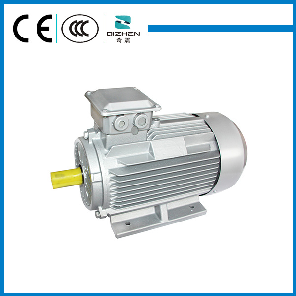 IE2 three Phase Asynchronous AC Induction Electric Motor for Fan