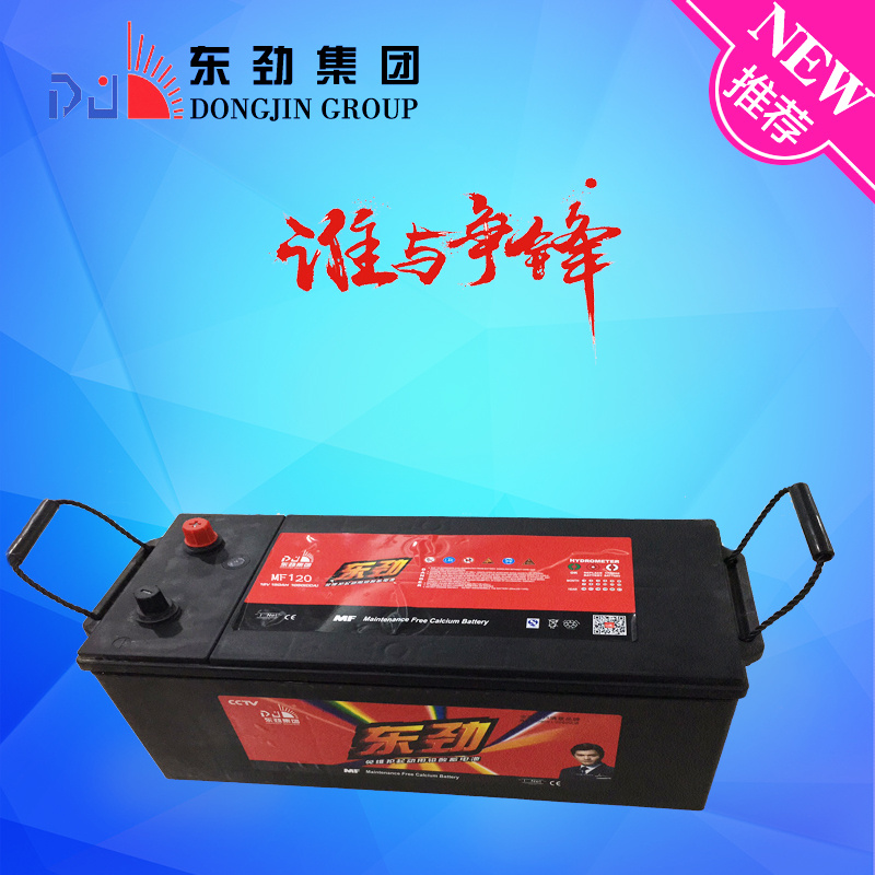 Nice Appearance 12V110ah Deep Cycle Car Battery