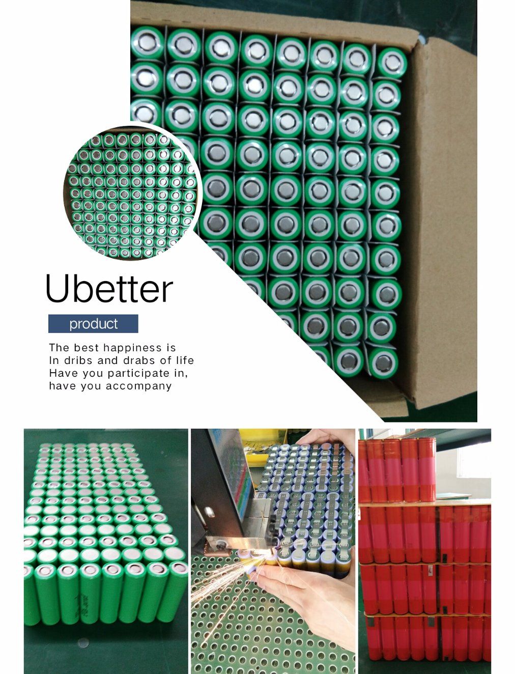 48V 20ah Lithium-Ion Battery Pack LiFePO4 Battery for E-Vehicle Battery