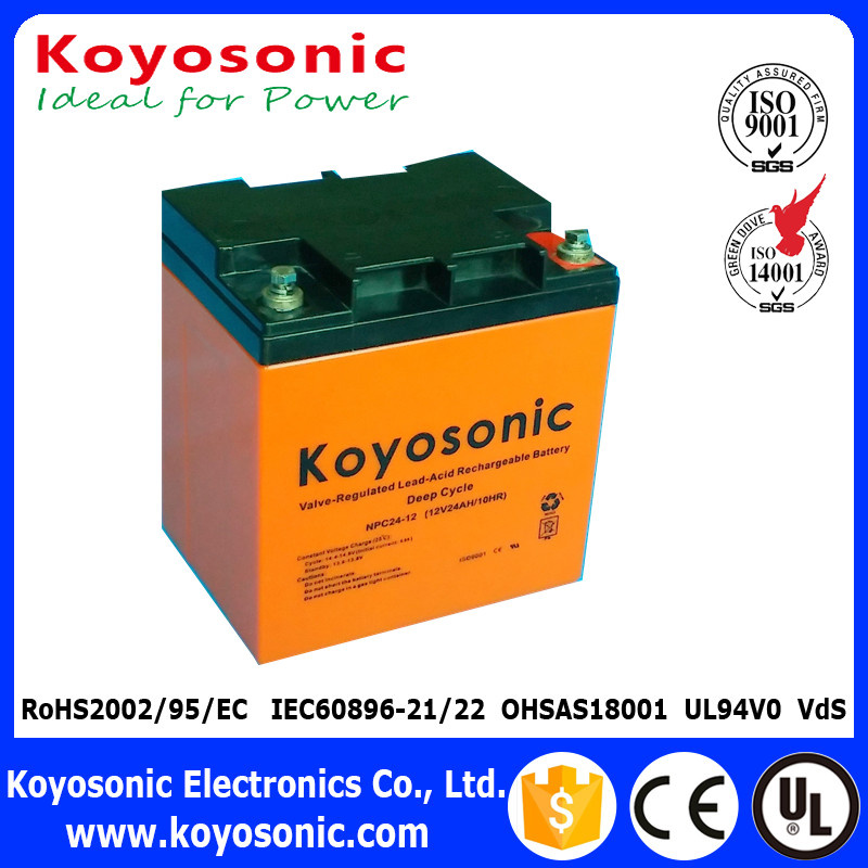 24V Deep Cycle Battery 12V 24ah Battery Deep Cycle Lithium Battery