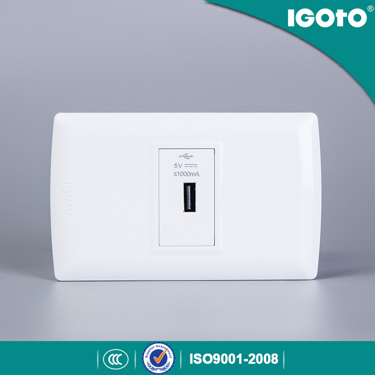 L105u American Standard USB Plug Charger