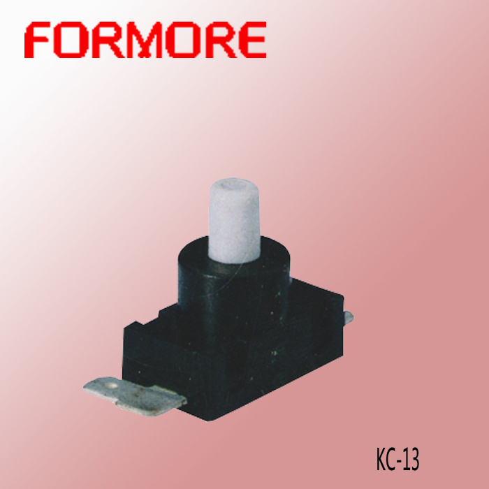 Torch Light Switch /Flash Light Switch / Push Button Switch