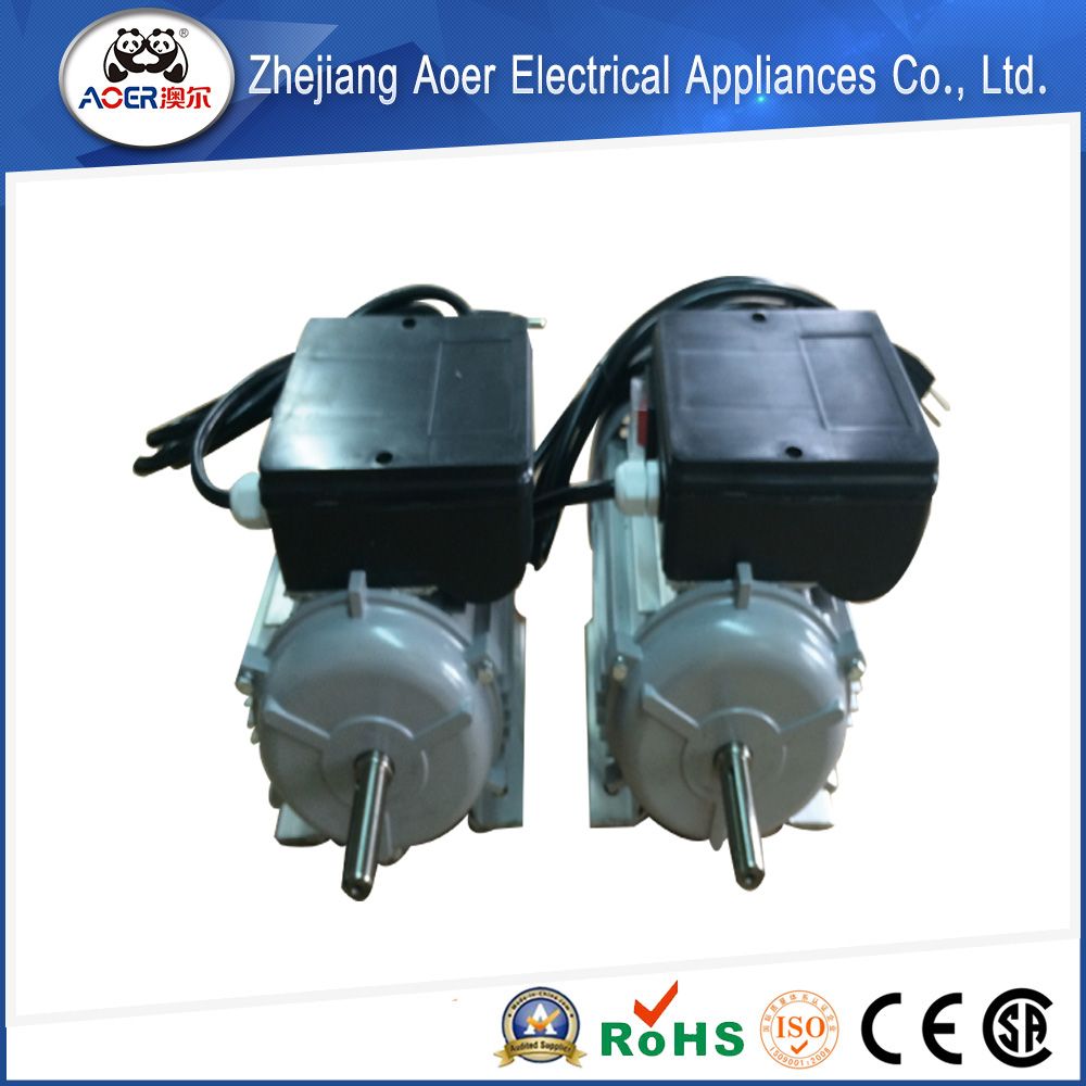 Single Phase Induction AC Electric Motors
