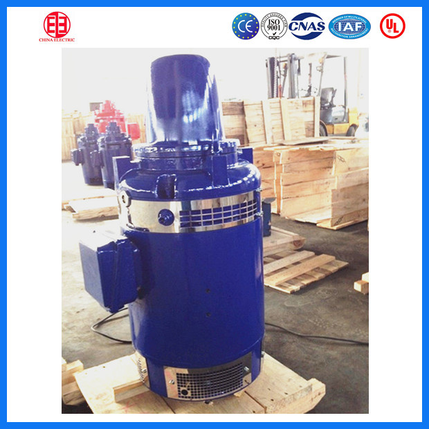 Ohs Series Vertical Hollow Shaft Motor
