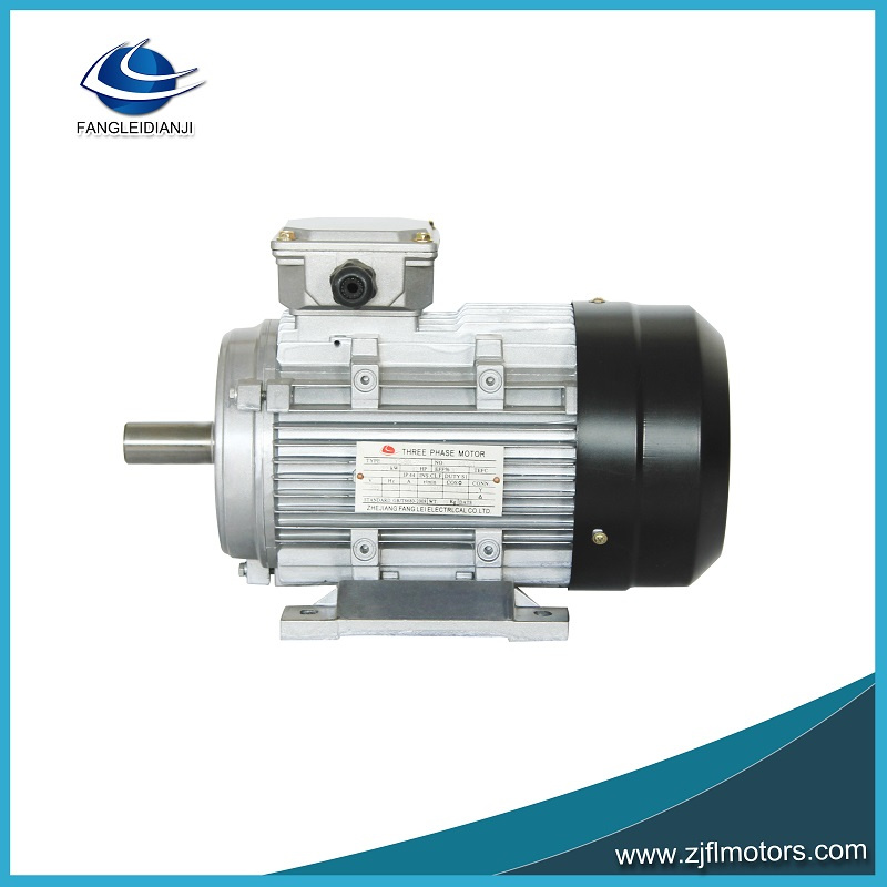 Yx3 Three Phase Electric Induction Electric Motor