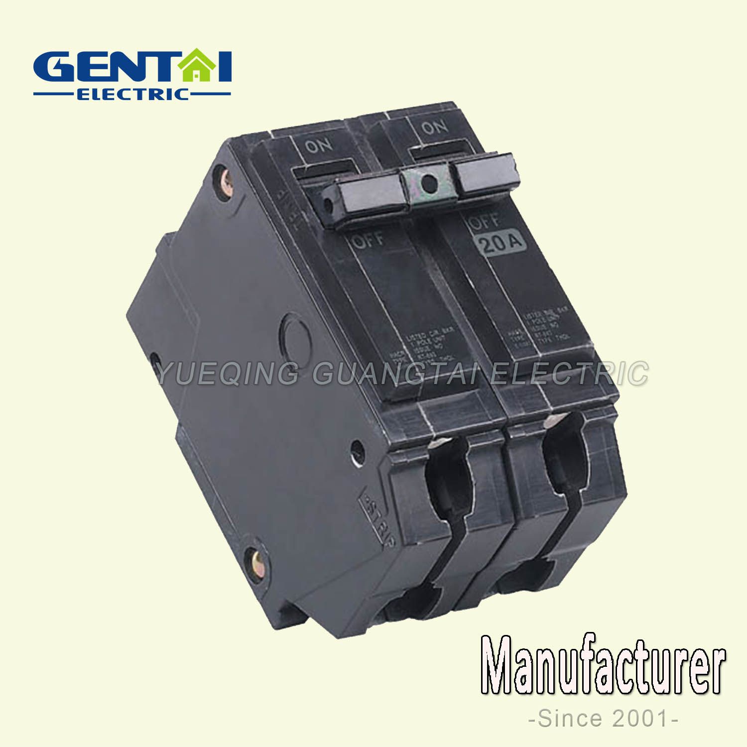 High Quality 2 Pole Thql Type Plug in Circuit Breaker