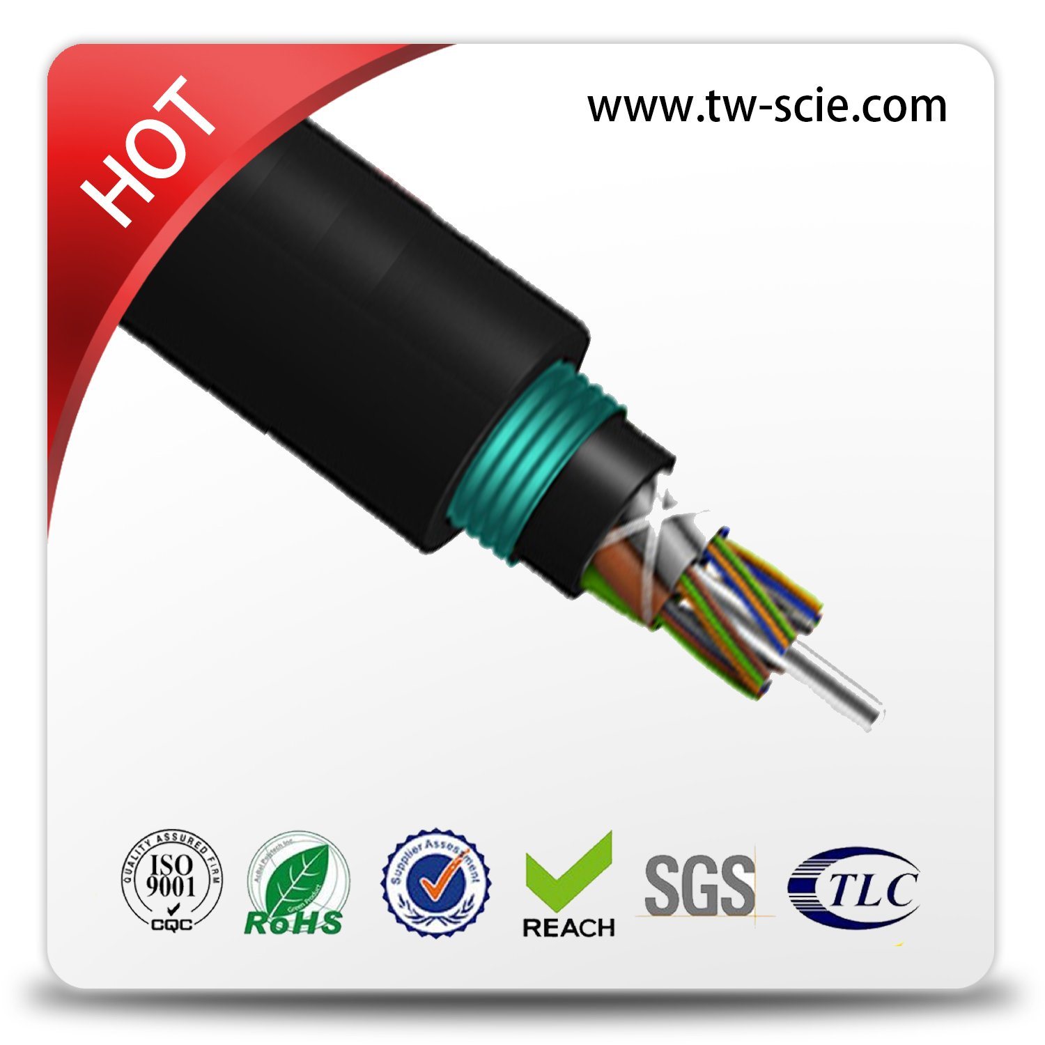12-24-36-48-72-96 Core Loose Tube Stranding Fiber Optic Cable (GYTY53)