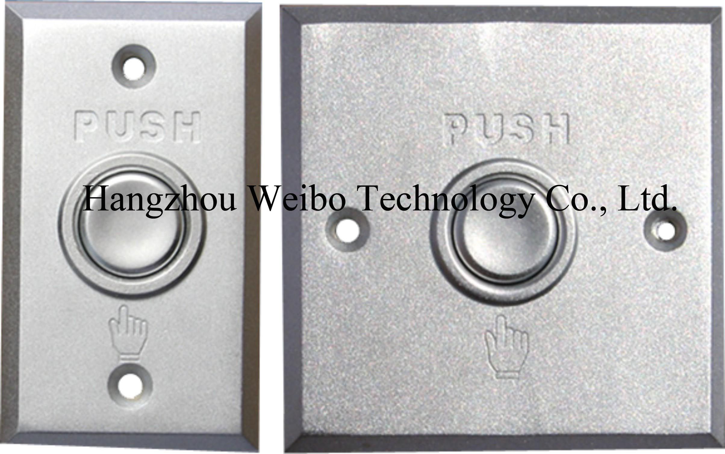 Push Button Switch (WB3111)