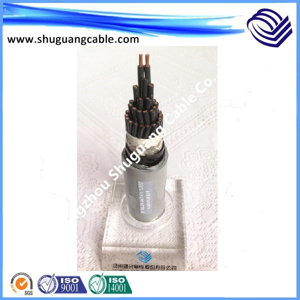 XLPE Insulated/PE Sheathed/Metallic Screen/Electrical/Control Cable