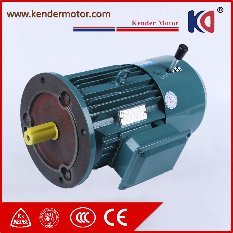 Brake Induction AC Motor for Food Processing Machinery