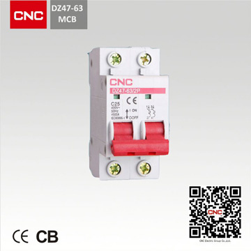 Miniature Circuit Breaker (DZ47-63)