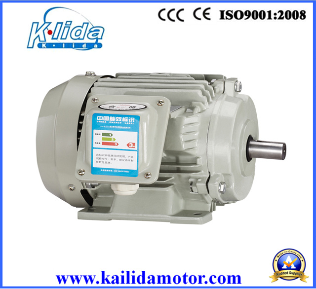 Ie2 High Efficiency AC Induction Motors