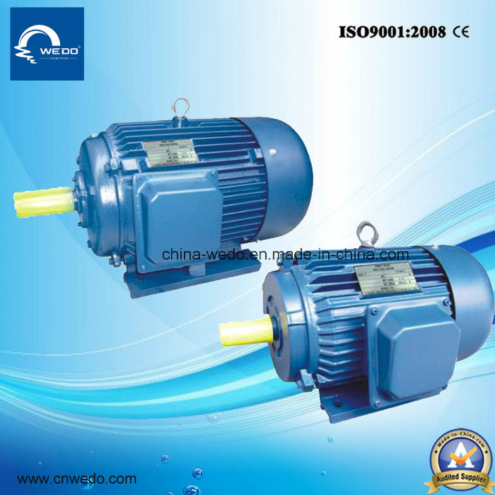 Y Series Cast Iron Three-Phase Induction Motor with CE