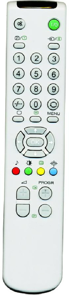 ABS Case TV Remote Control (RM-887)