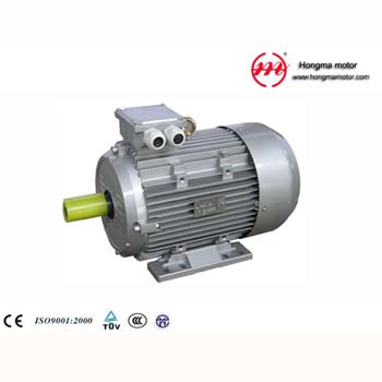 1hma Motor/Hm Series Three-Phase Asynchronous Motor with Ie1