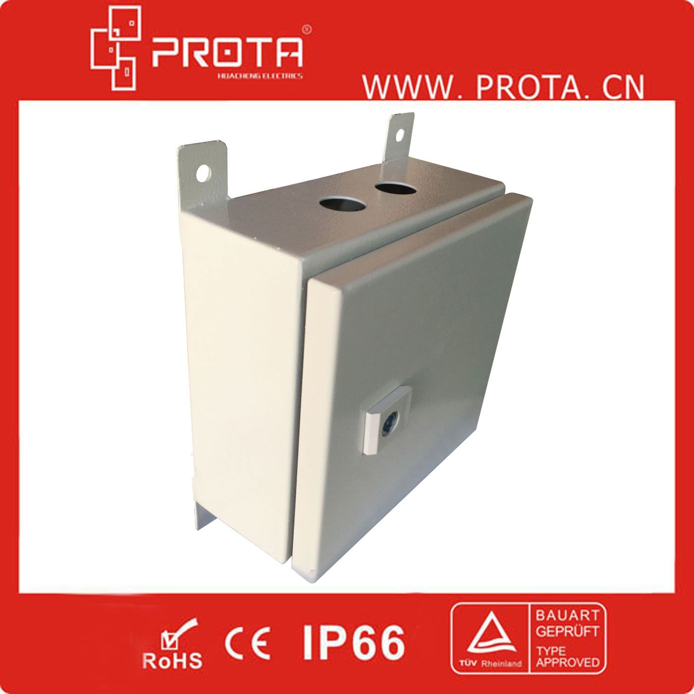 IP66 Steel Electrical Wall Mounted Distribution Box