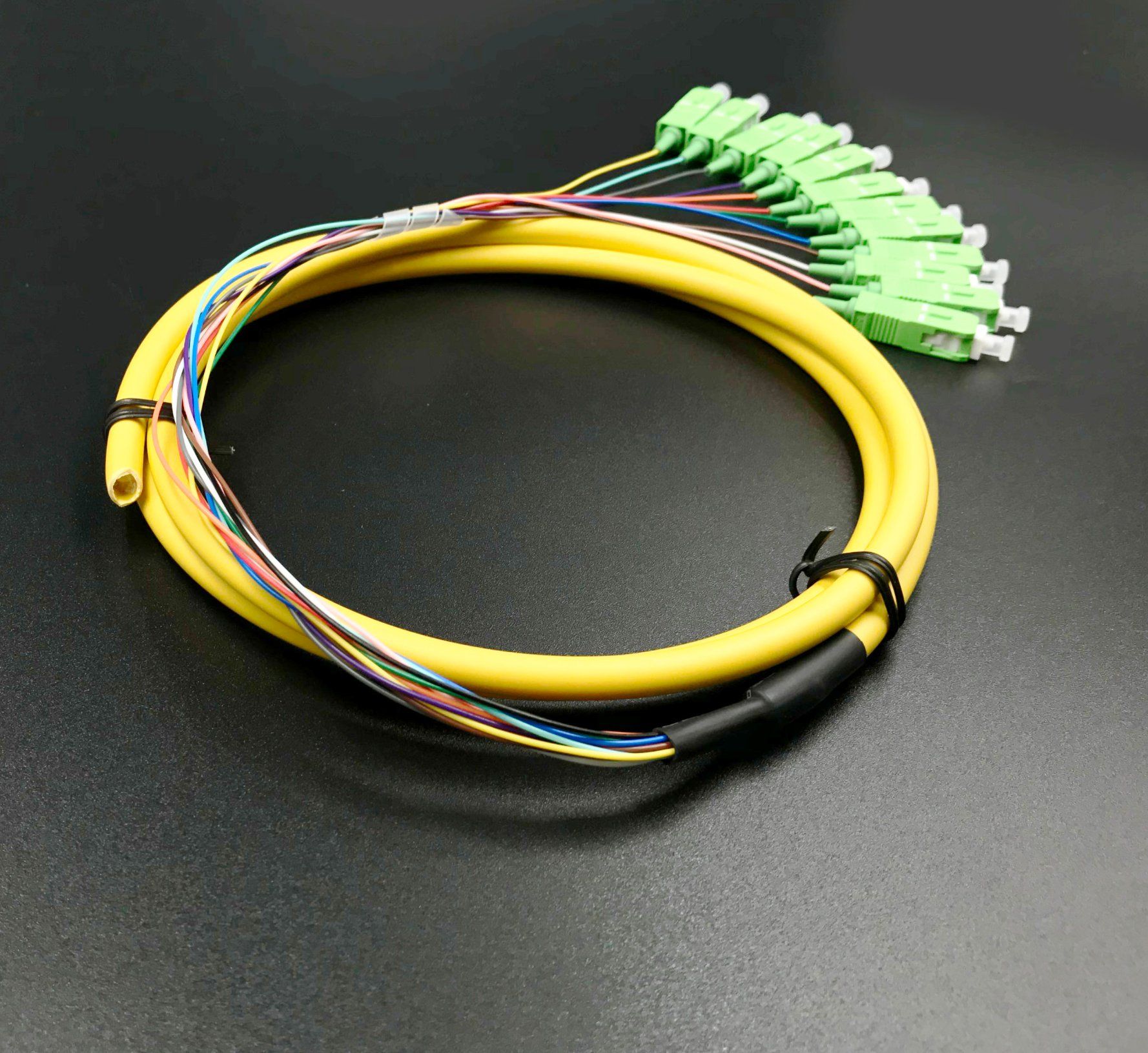 Optical Fiber 12 Cores Bound Pigtail for Network Transmission and Wireless CCTV
