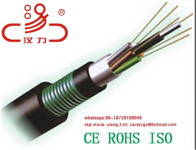 Gysta Optical Fiber Cable/Computer Cable/Data Cable/Communication Cable/Audio Cable/Connector