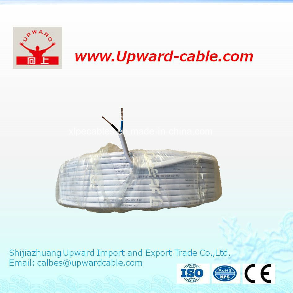 Solid 2 Core Copper Conductor Electrical Wire