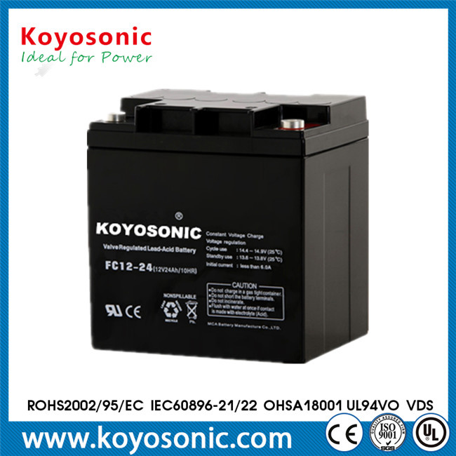 Rechargeable 12V 24ah VRLA AGM Battery for UPS System