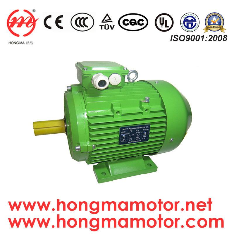 Ie3 Aluminum/Cast Iron Housing Three Phase Induction Motor
