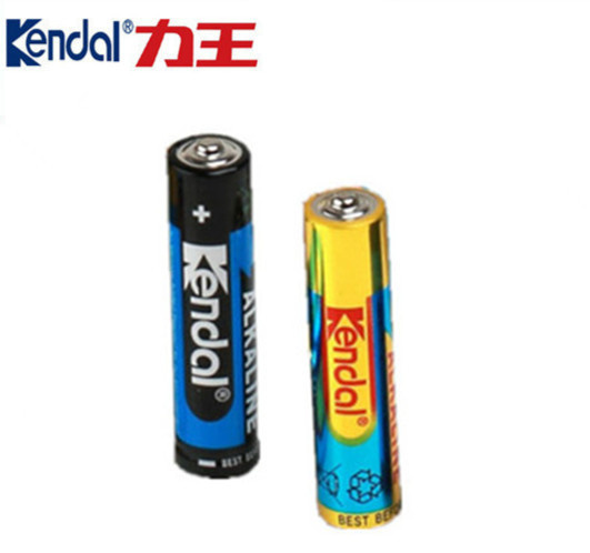 Lr6 AA Size Alkaline Battery
