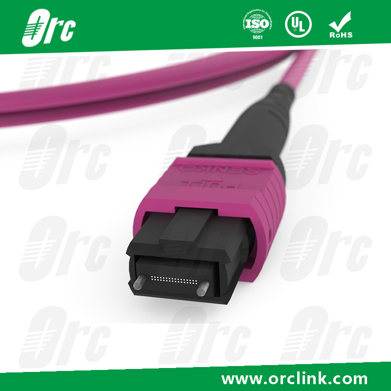 8f/12f/24f MPO/MTP Patchcord Jumper Optical Fiber Connector Om4 Ofnp Male 5 Meters
